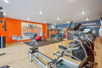 Modern gym